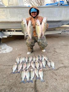 9 fish caught in Forney