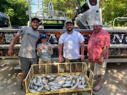 4 people fishing in TX