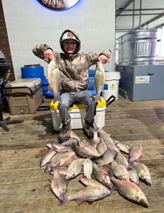 4 white bass and wiper fish caught in TX
