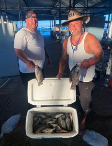 Crappie fish caught in Forney