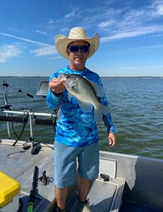 Crappie fish caught in Forney
