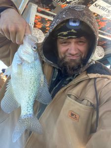 Crappie fish caught in TX