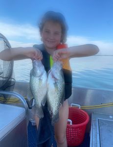 Two crappie fish in Forney