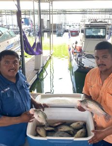 Crappie fishing in TX