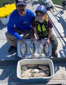 4 crappie fish caught in TX