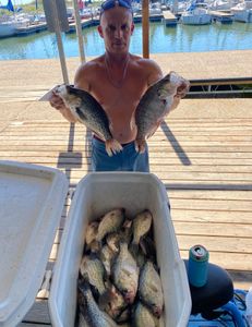 6 crappie and flier fish caught in TX