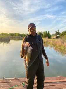 A lone fisherman in Forney