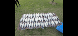 Fishing adventure in Forney