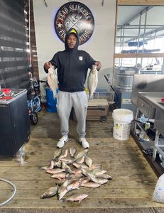 Two white bass and European seabass caught in TX
