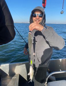 Fishing adventure in Forney