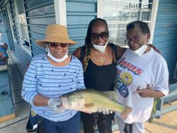 A group of 3 people fishing in Forney