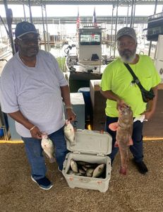 2 crappie fish caught in Forney