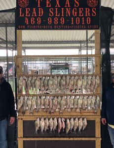 Fishing adventure in Forney