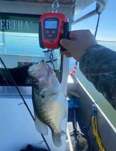 Fishing adventure in Forney