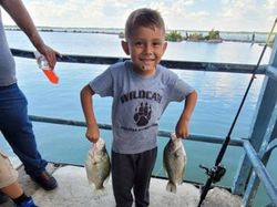 Two 8-inch fish caught in Forney