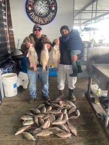 Striped Bass, Wiper, and White Bass caught in Forney
