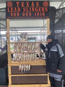 Striped bass caught by angler in Forney