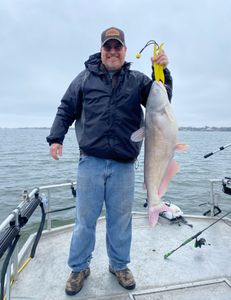 Huge white catfish caught in Forney