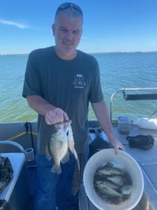 A largemouth bass caught in Forney