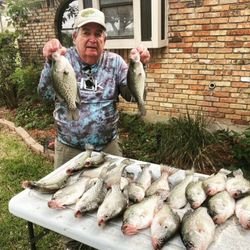 5 largemouth bass caught in Forney