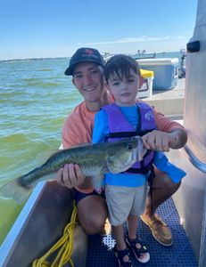 Largemouth bass caught in TX