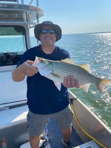 Striped bass fishing in Forney