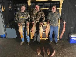 5 fish caught in TX