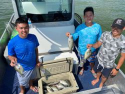 A group of 3 people fishing in Texas
