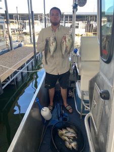 Two fish caught in Forney
