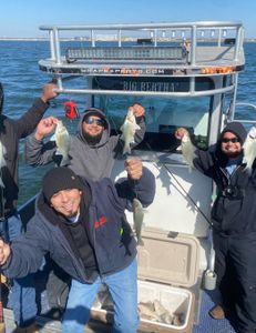 5 white bass fishing in TX