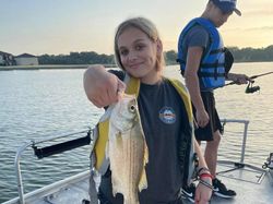 Smiling angler proudly holding a white bass fish caught in TX