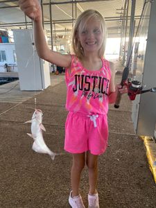White Catfish fishing in Forney