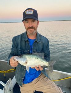 White crappie fish caught in TX