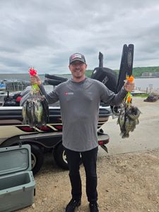 Crappie catch near Table Rock docks