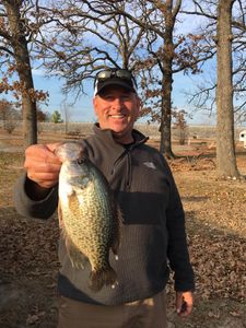 Crappie fish caught in MO