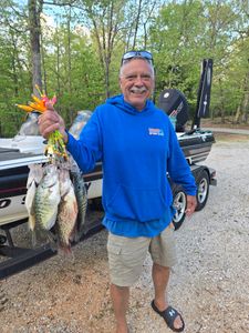 Angler with a 10-inch fish at Osage Beach