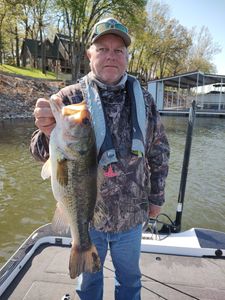 Largemouth Bass caught in Osage Beach