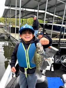 Crappie fish caught while fishing in MO