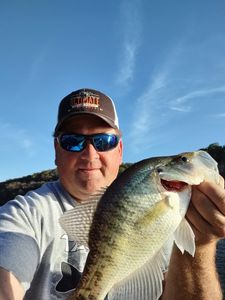 White crappie fish caught in MO