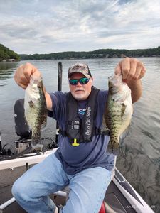 Two white crappie fish caught in Osage Beach