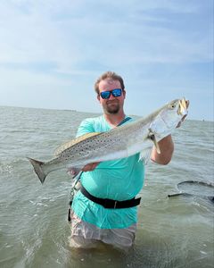 Spotted Weakfish, a 29-inch fish, caught while fishing in Seadrift