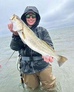 Spotted weakfish caught while fishing in TX