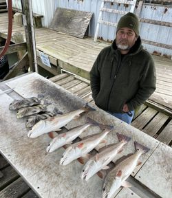 Angler fishing in Texas with three fish