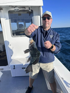 Catching a sea bass in NJ