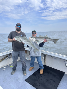 Hooked two huge striped bass in a banner day of fishing!