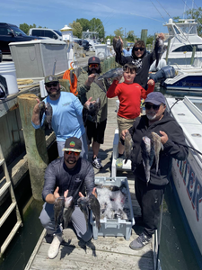 Four northern snakehead fish caught in Neptune City