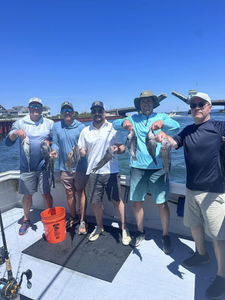 3 grey snapper fish caught in Neptune City