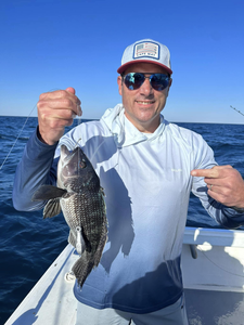 Sea bass caught by angler in NJ