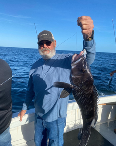 Angler with a 24-inch sea bass in NJ