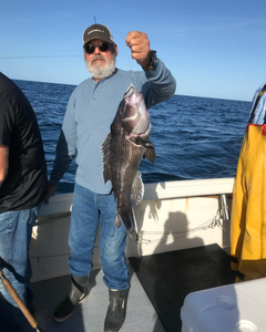One sea bass caught by a person in Neptune City